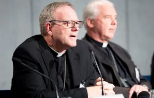 Auxiliary Bishop Robert Barron of Los Angeles, at the Vatican Press Office on Oct. 12, 2018. Daniel Ibanez/CNA